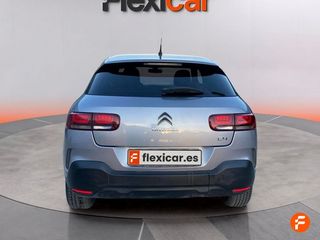 Citroën C4 Cactus PureTech 81KW (110CV) S&S Feel