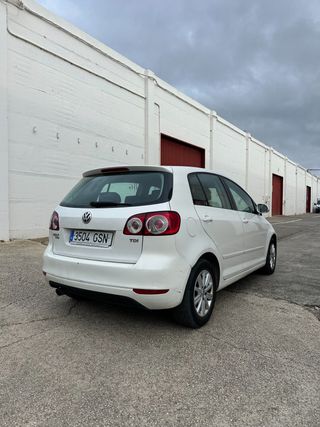 Volkswagen Golf Plus 1.6 TDI 105cv DPF Advance