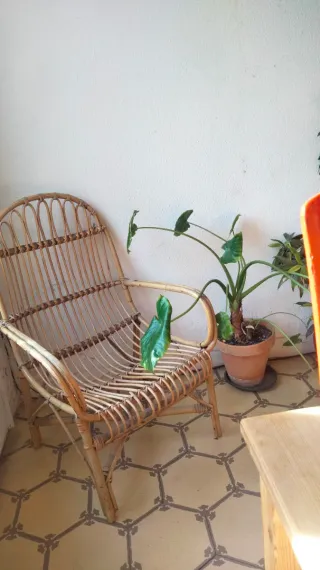 Silla butaca mimbre
