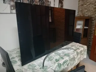Televisor LG oled 55"