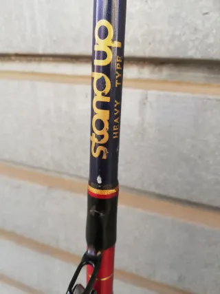 Caña Italalcanna Stand Up 50-80 lbs