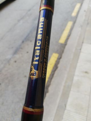 Caña Italalcanna Stand Up 50-80 lbs