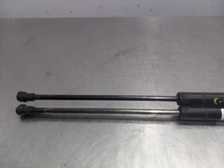 AMORTIGUADORES MALETERO / PORTON BMW SERIE X3 (E8