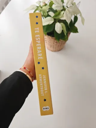 Te esperaré / Wait for You (Spanish Edition)