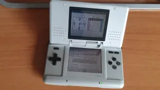 Nintendo DS Fat Gris