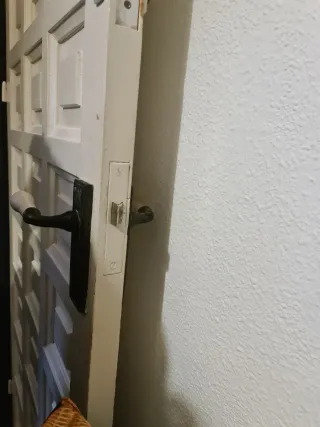 Puerta antigua cuarterones pomo original