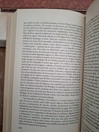 El tambor de hojalata Volumen II