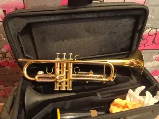 Trompeta Taylor Collins sib con boquilla 7c