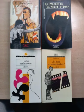 Libros juveniles de autores aragoneses a 5€.