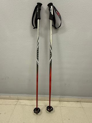 Bastones Salomon 125 cm