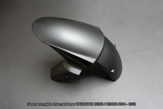 Oferta especial Carenado KAWASAKI Z1000 / R 2014