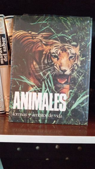 El hombre en su mundo