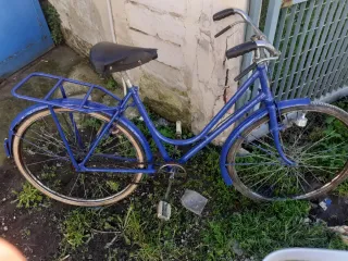 Bicicletta da donna blu