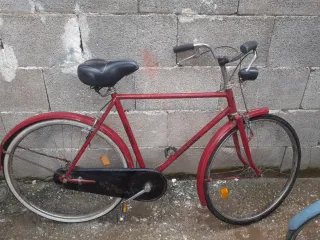 Bicicletta da donna blu