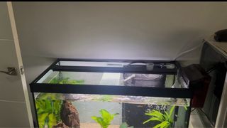 Acuario 114L con mueble incluido