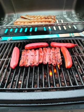 Barbacoa de gas campingaz texas 2 quimadores