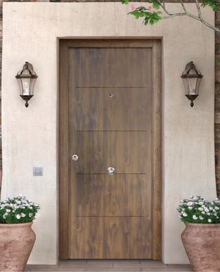 Puerta de entrada metálica nueva EMBALADA SIN USAR