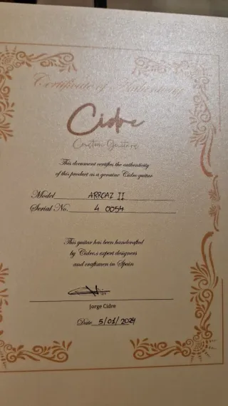 Guitarra Eléctrica Arroaz II - 2024