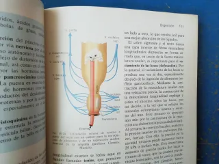 Libro Fisiología manual y atlas para diplomados en