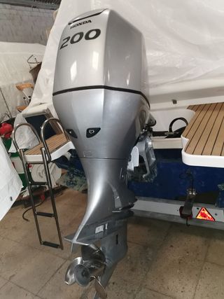 Embarcación White Shark