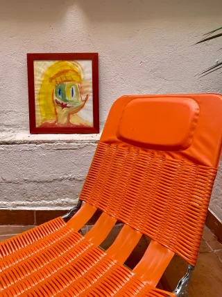 Tumbona Diseño Vintage Coleccionista