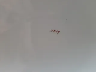 Vajilla checa años 20. Porcelana Pirken Hammer