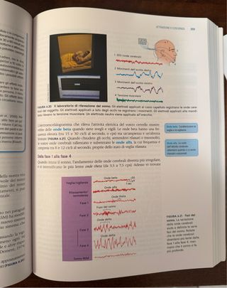 Libro Psicologia Generale 3^ edizione N. Holt