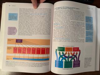 Libro Psicologia Generale 3^ edizione N. Holt