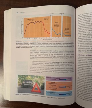 Libro Psicologia Generale 3^ edizione N. Holt