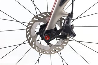 Specialized Roubaix SL4 Di2 11V (carretera) t.54 Reacondicionada