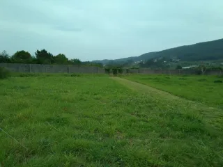 Limpiezas de fincas y mantenimiento