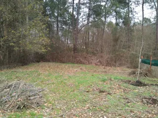 Limpiezas de fincas y mantenimiento