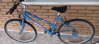 Bicicleta Quasar azul