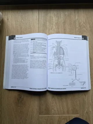 Netter. Cuaderno de anatomía para colorear: 2ª ...