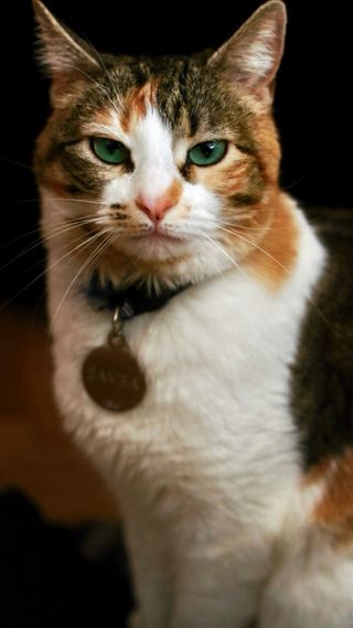 Fotografías con arte