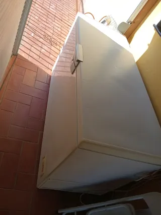 Congelatore grande Alcon