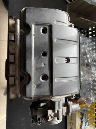 Coletor Admissão Citroen Saxo