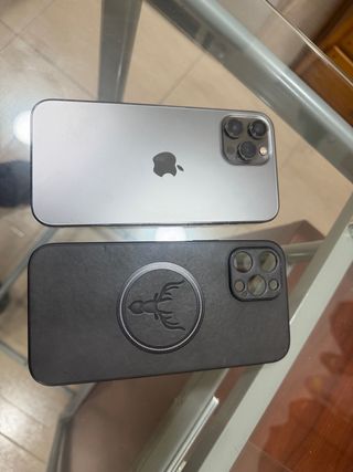 iPhone 12 Pro Max Plata