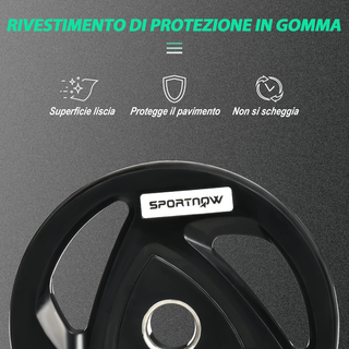 Set di 2 Dischi Pesi da 20kg in Acciaio con Rivest