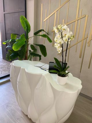 TRASPASO LOCAL ESTÉTICA PREMIUM – 120 m²