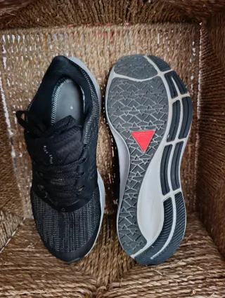 Nike Air zoom Pegasus 38 SHIELD