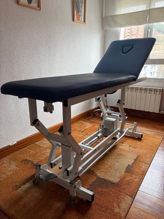 Camilla eléctrica profesional Franco & Fils