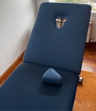 Camilla eléctrica profesional Franco & Fils