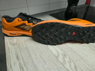 Zapatillas Salomon XA Alpine Pro