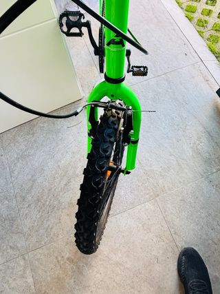 Bicicleta infantil verde 20 pulgadas