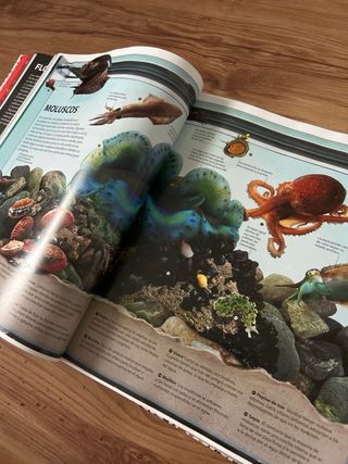 Enciclopedia visual de TODO