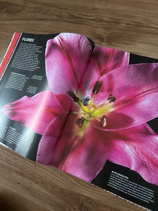 Enciclopedia visual de TODO