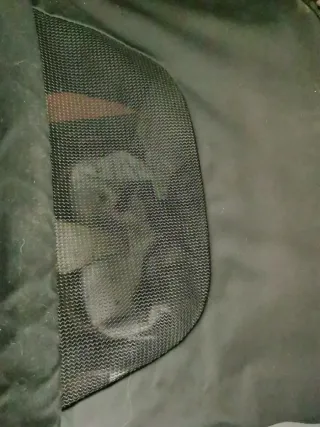 Silla paseo Tuc Tuc Bears