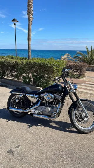 Harley Davidson XL 883 - 1995