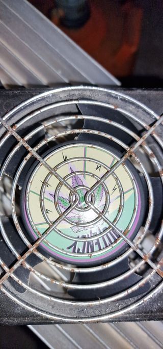 Focos indor de led 250 batios usados 2 veces